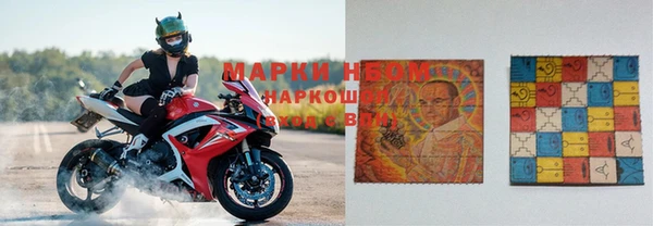 ПСИЛОЦИБИНОВЫЕ ГРИБЫ Алзамай