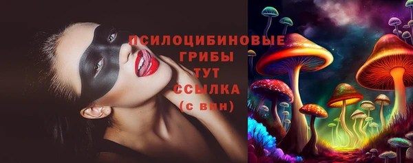прущие крисы Алексеевка