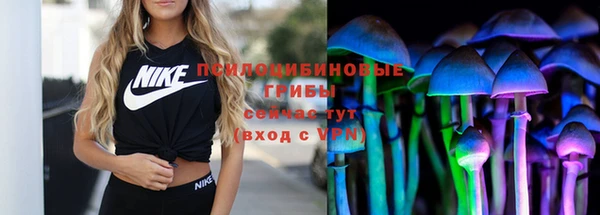 ПСИЛОЦИБИНОВЫЕ ГРИБЫ Алзамай