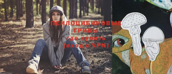 прущие крисы Алексеевка