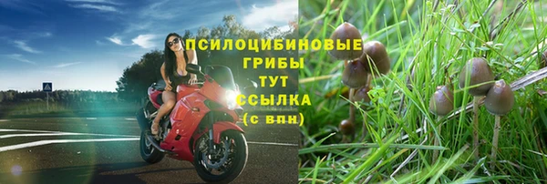 ПСИЛОЦИБИНОВЫЕ ГРИБЫ Алзамай
