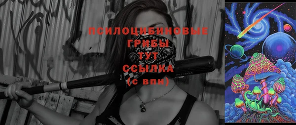 ПСИЛОЦИБИНОВЫЕ ГРИБЫ Алзамай