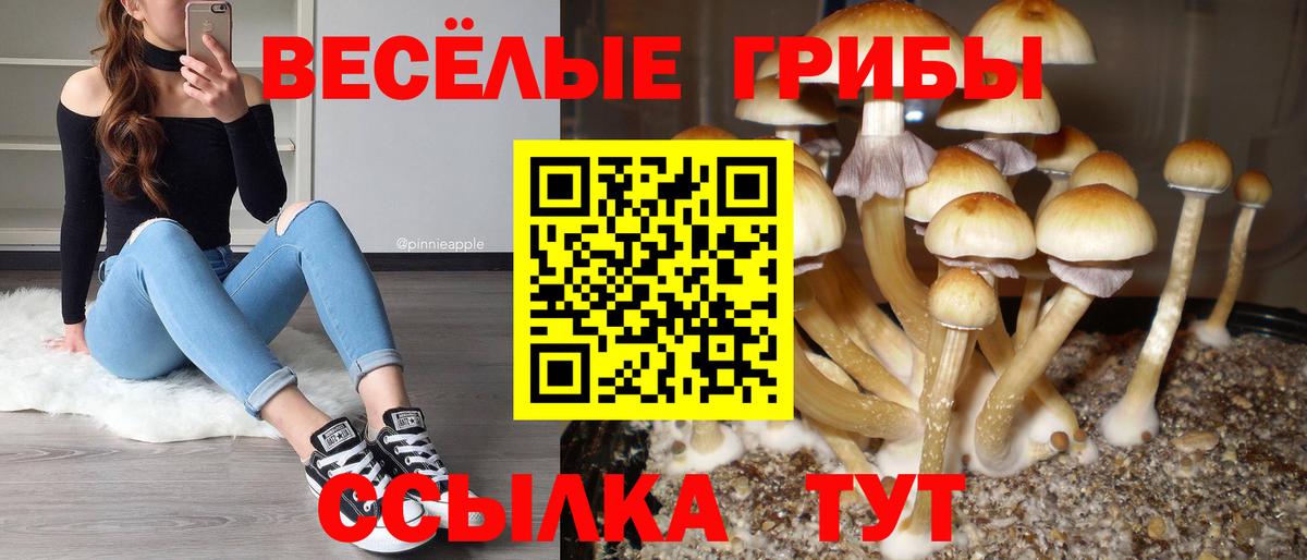 Феодосия  Галлюциногенные грибы Cubensis  Галлюциногенные грибы Psilocybine cubensis  продажа наркотиков  Вход с VPN 
